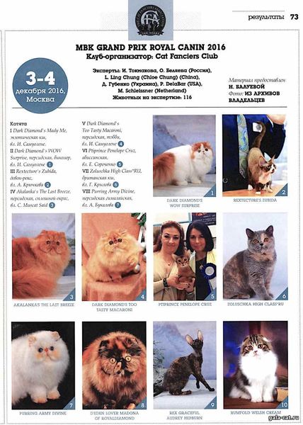Топ-10 лучших котят всех пород CFA. Журнал "Кошки"-2017