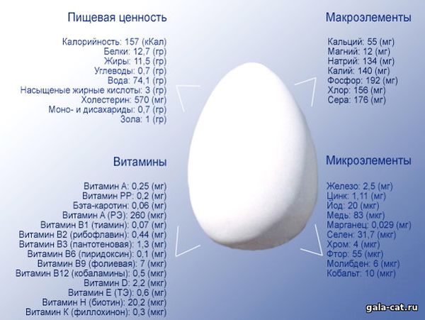 Куриное яйца - химический состав на 100 грамм