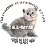 Логотип питомника GALA-CAT