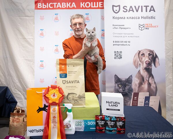 выставка кошек