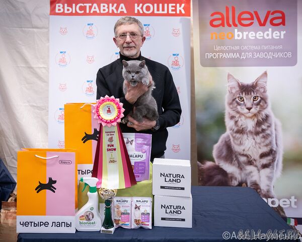 выставка кошек