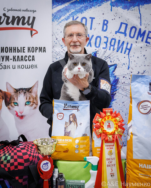 выставка кошек Кэт-Салон-Сентябрь 2026