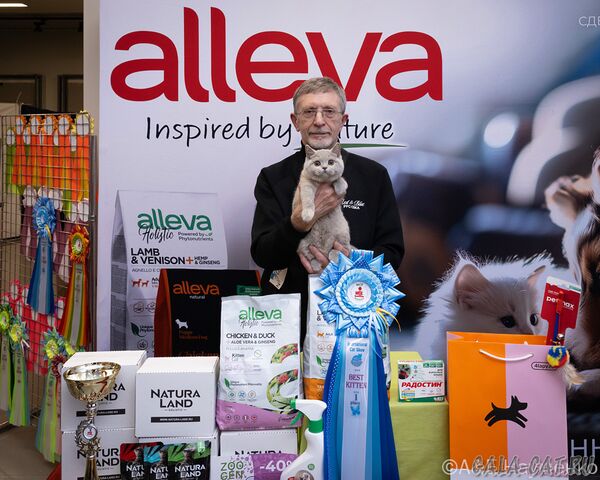 выставка кошек
