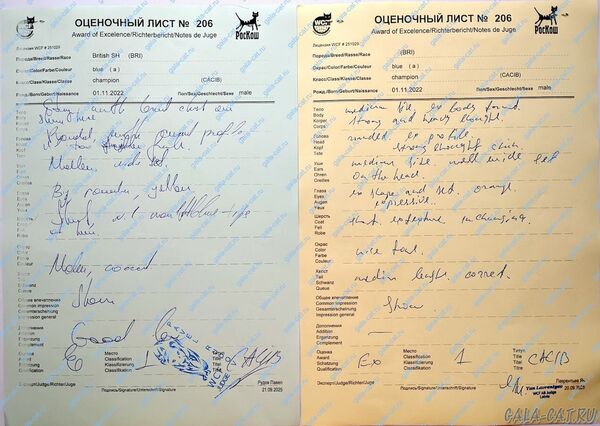 Султан Оценочные листы 20 и 21 сент.2025 Оценочные листы