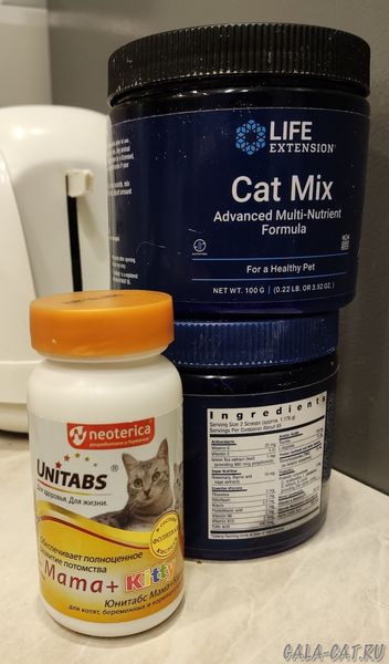 витамины для котят