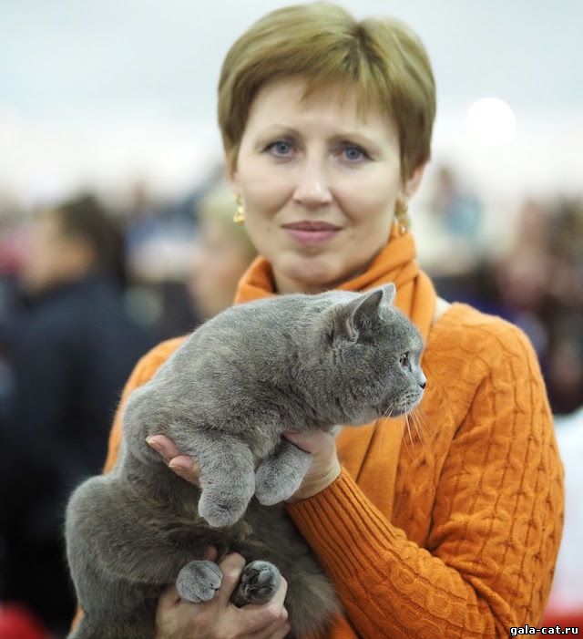 Фоторепортаж Виктора Олифирова с Международной выставки кошек "Содружество 2013"